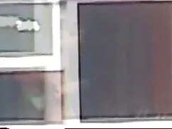 Inglés perros, video ...