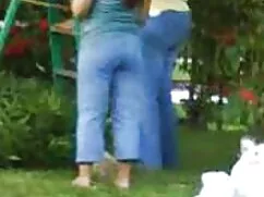 Culo porno de perros